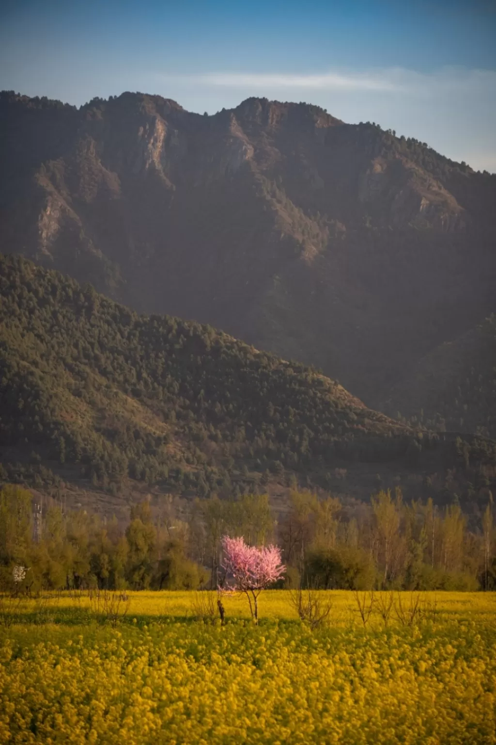 Photo of Jammu and Kashmir By Abrar Farooq