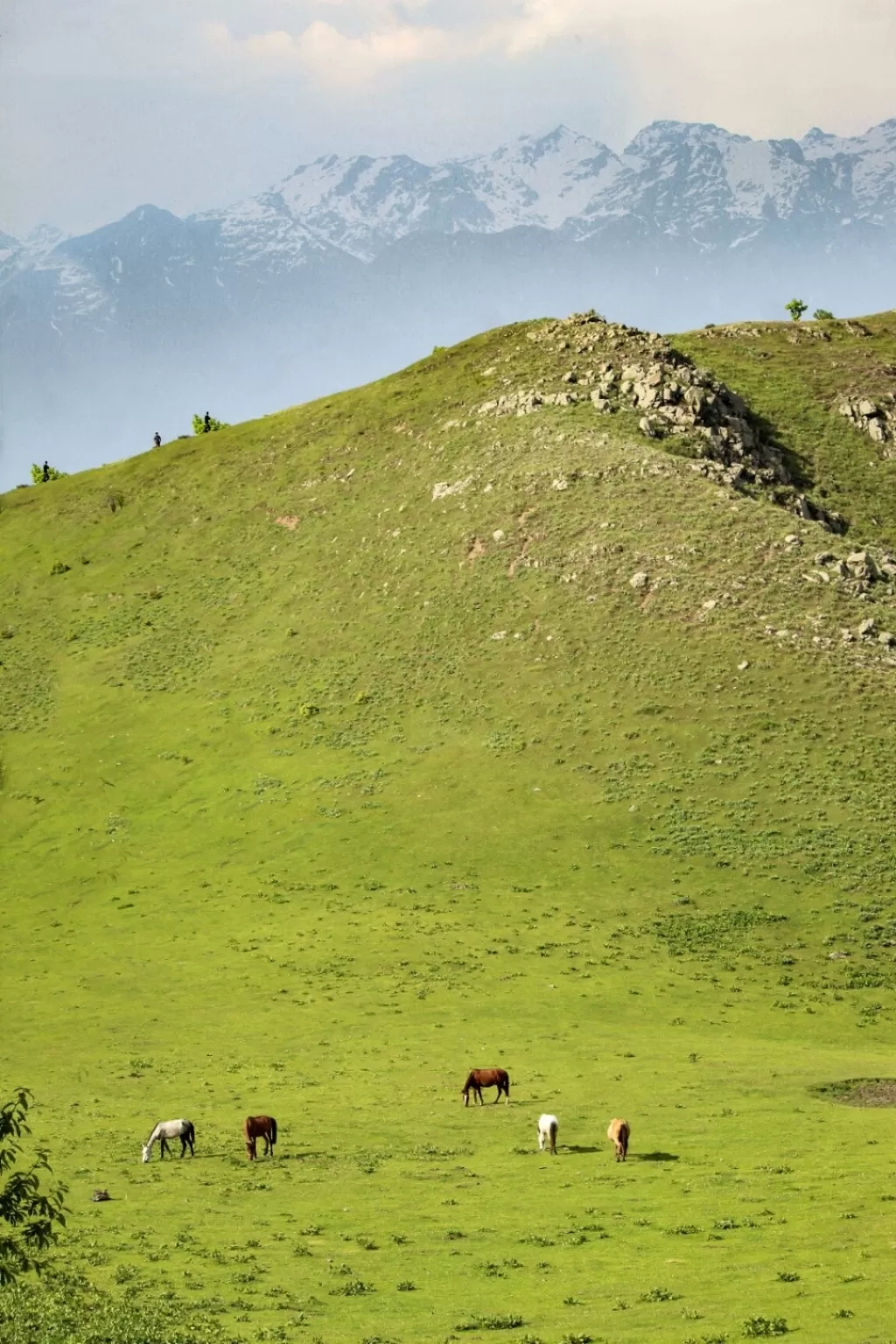 Photo of Jammu and Kashmir By Abrar Farooq