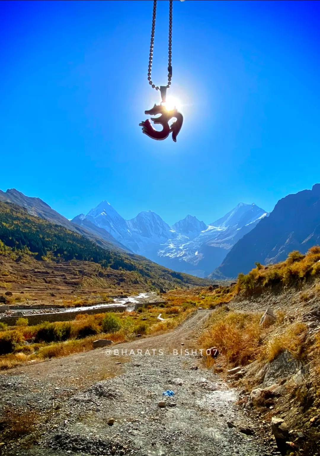 Photo of Himalayanbluesheep: Darma Valley By bharat s bisht