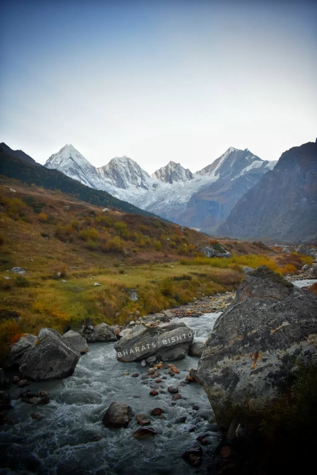 Photo of Himalayanbluesheep: Darma Valley By bharat s bisht