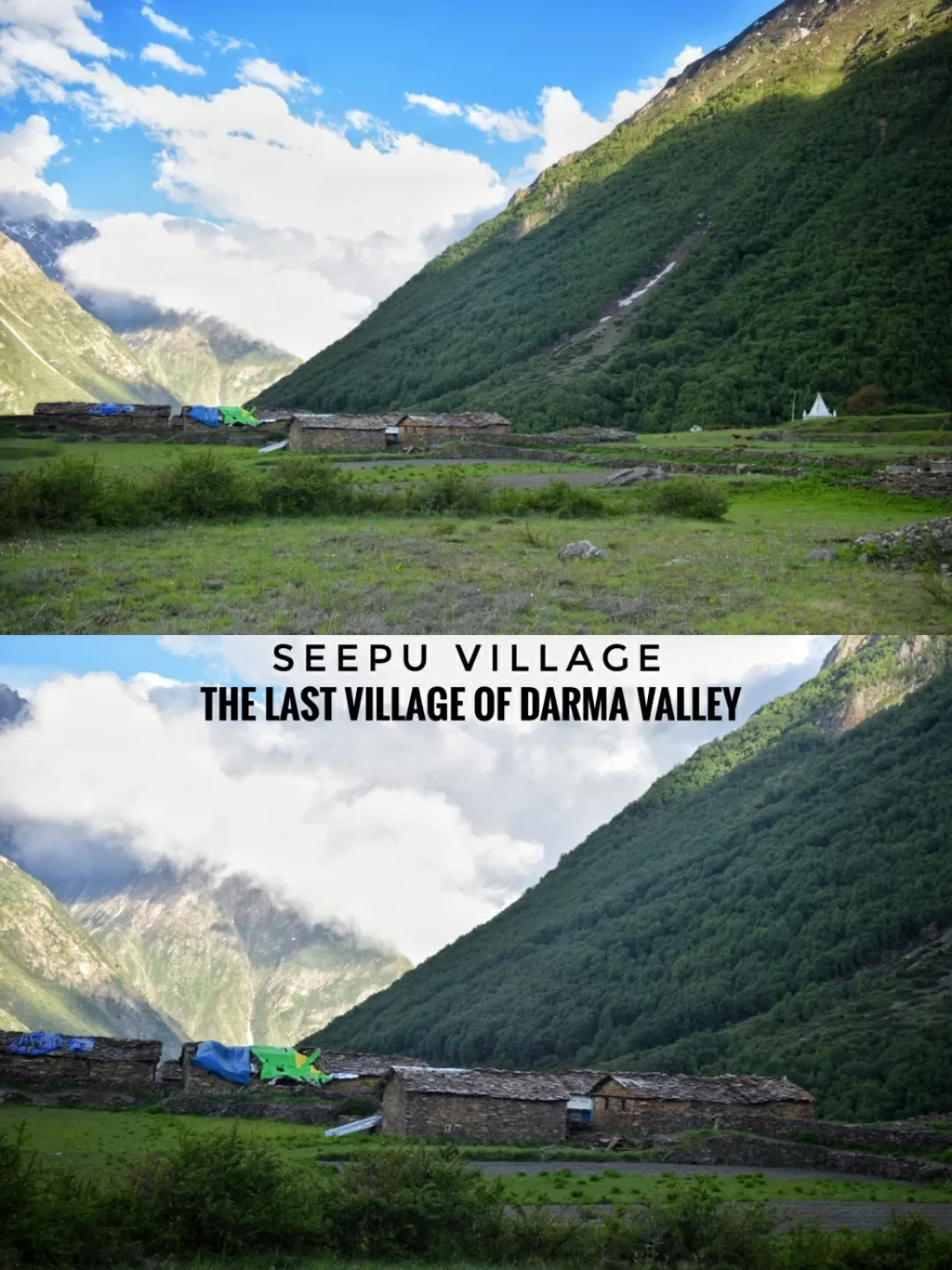 Photo of Himalayanbluesheep: Darma Valley By bharat s bisht