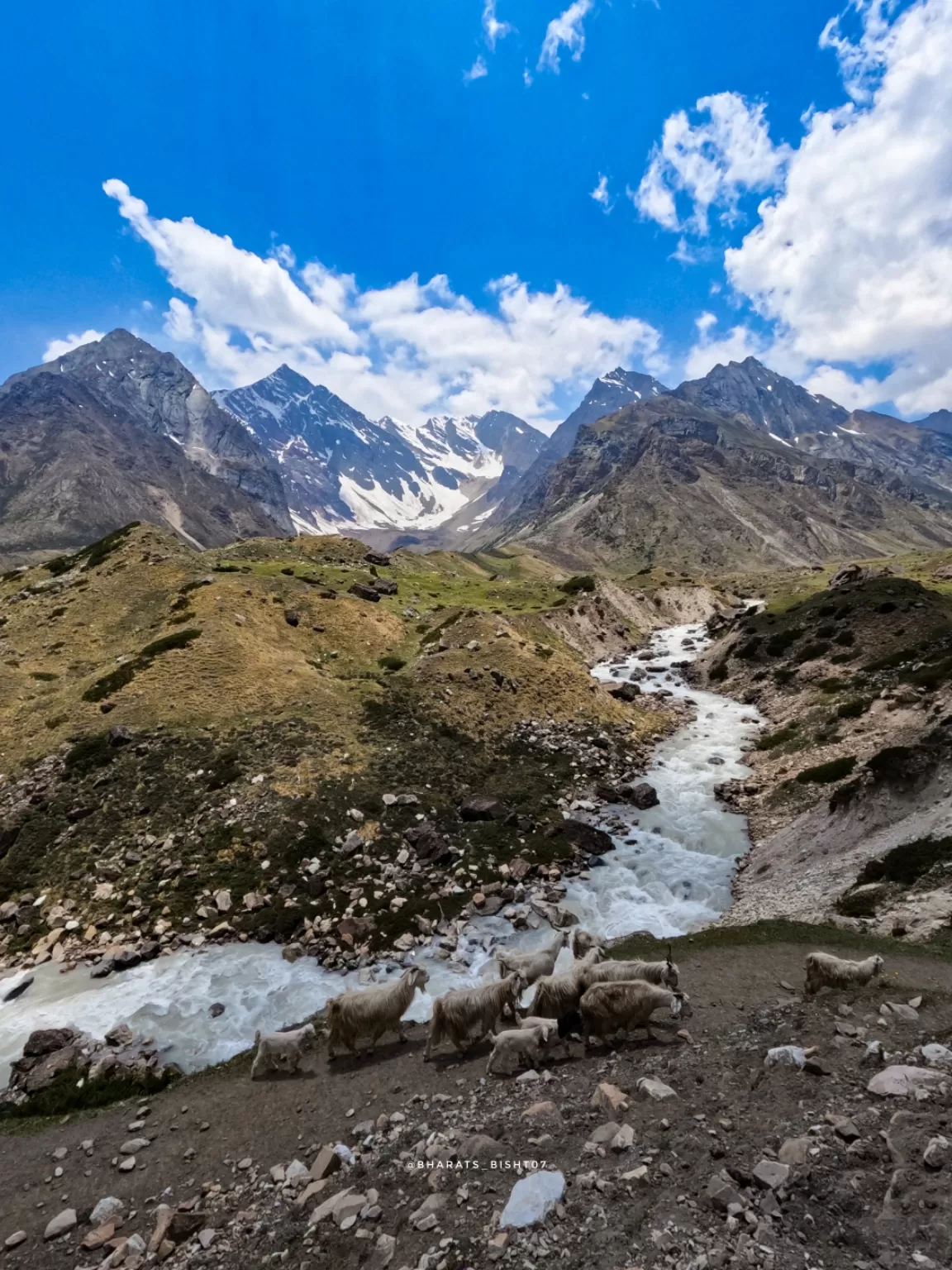 Photo of Uttarakhand By bharat s bisht