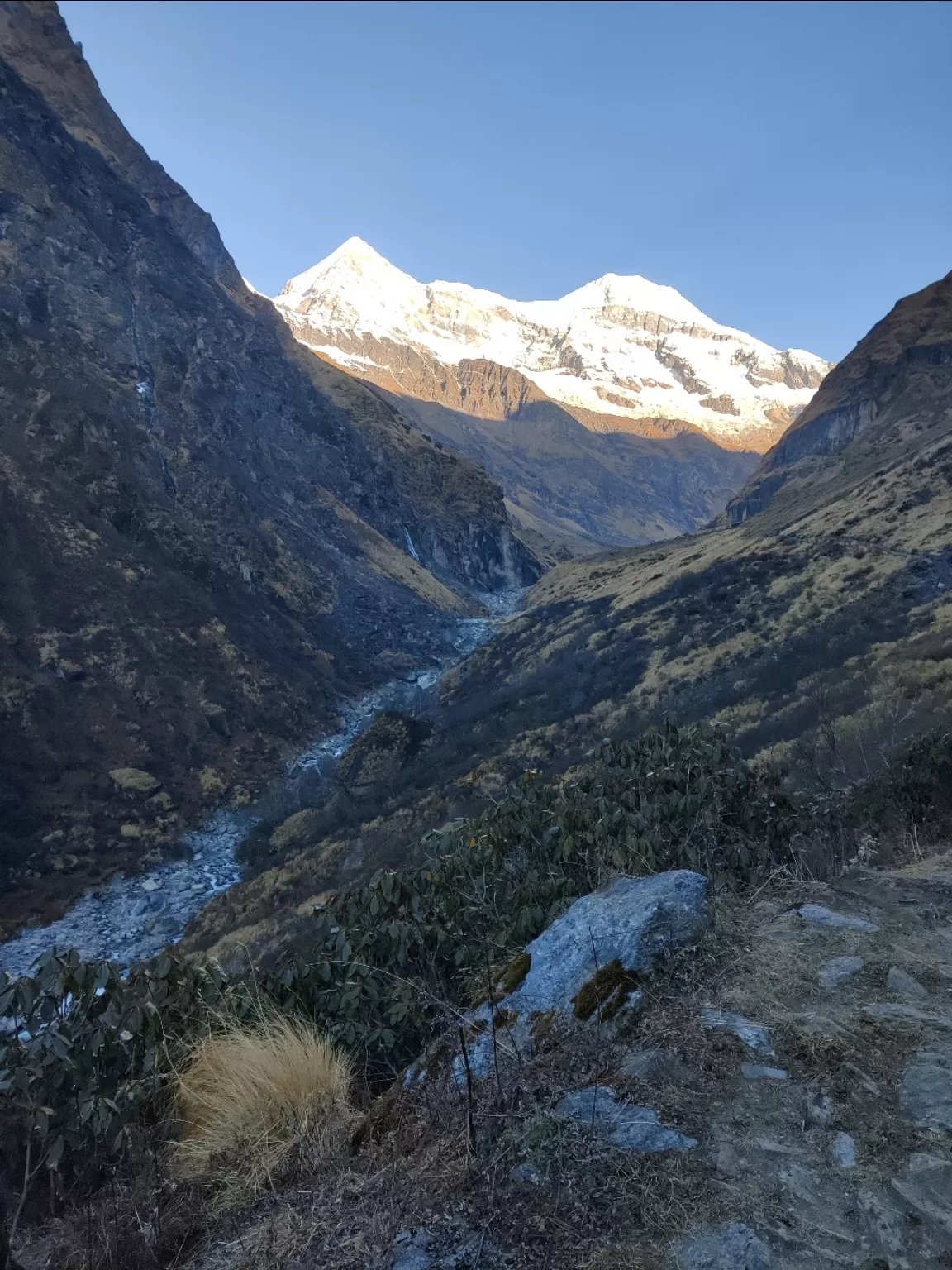 Photo of Pindari Glacier By bharat s bisht