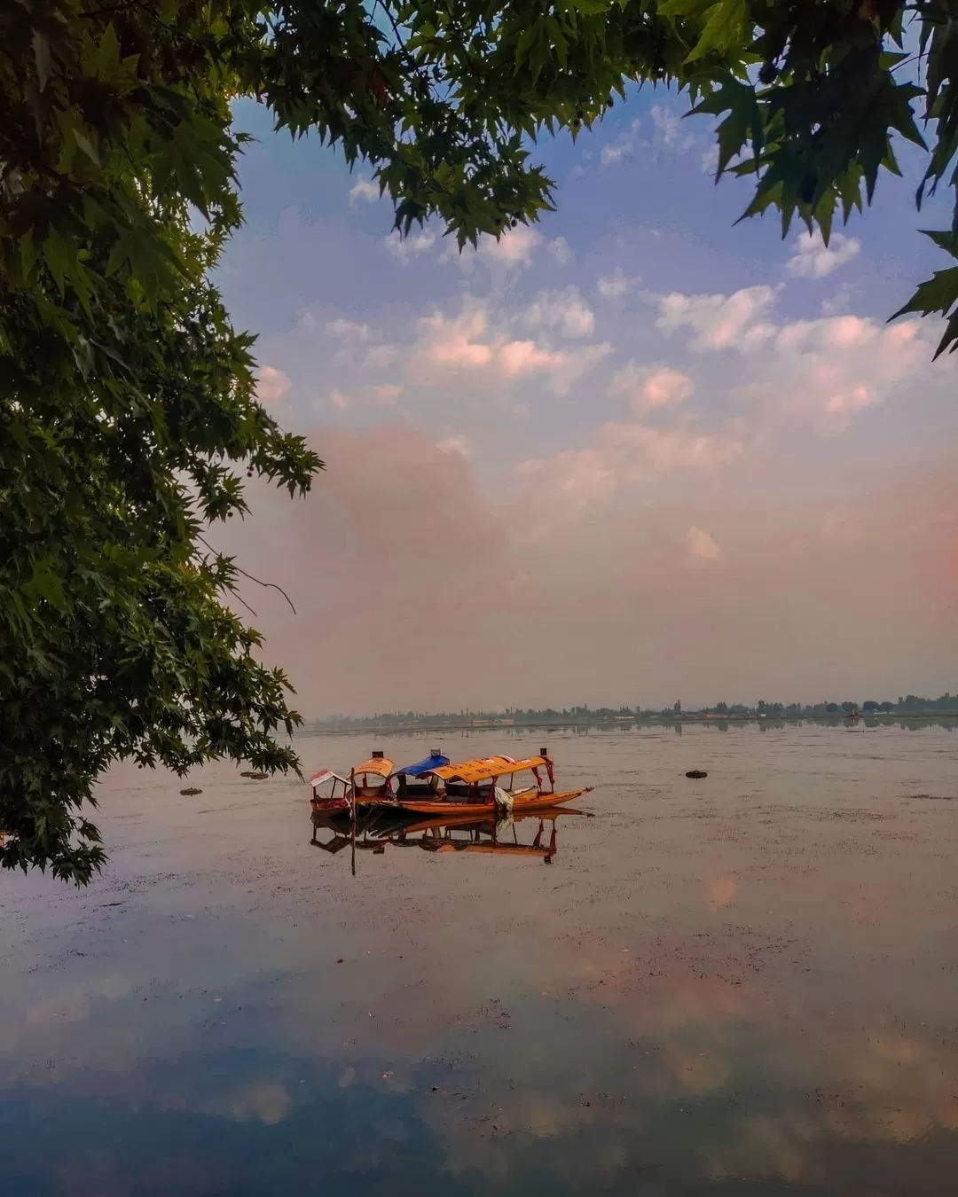 Photo of Dal Lake By Mirza Muneeb