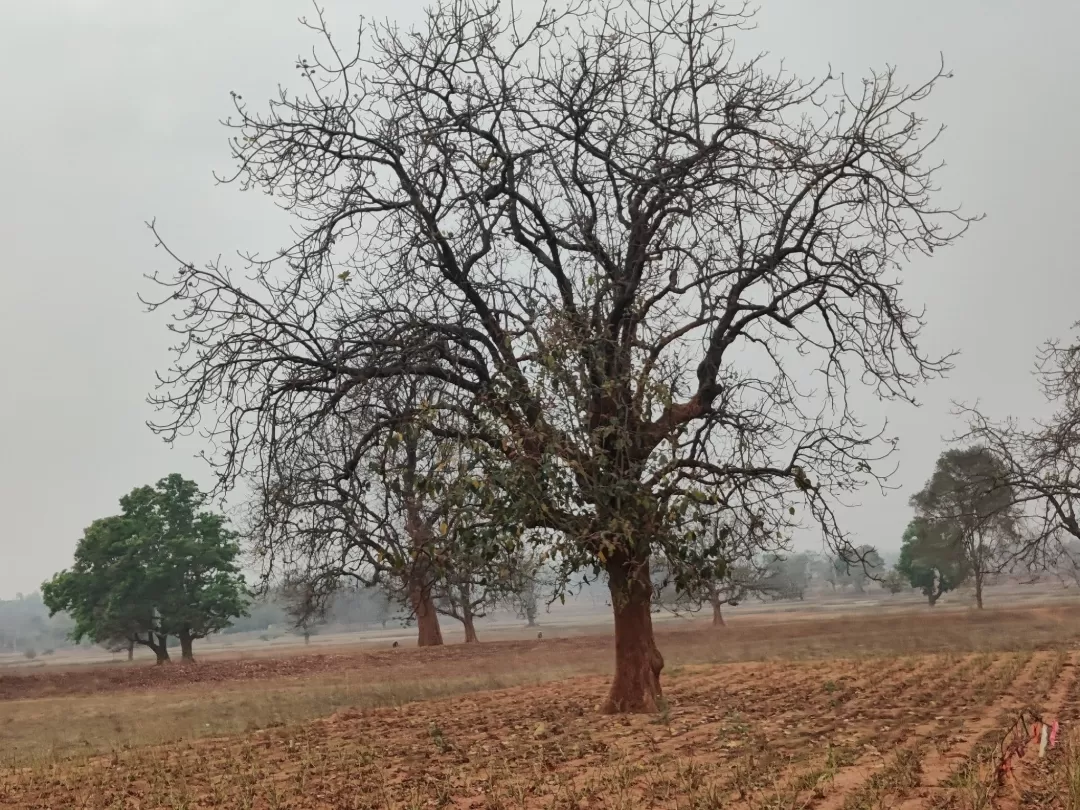 Photo of Doddaballapura By chandra sekhar