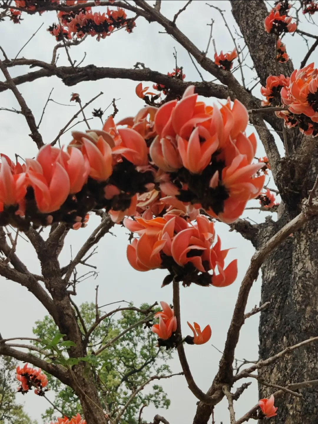 Photo of Doddaballapura By chandra sekhar