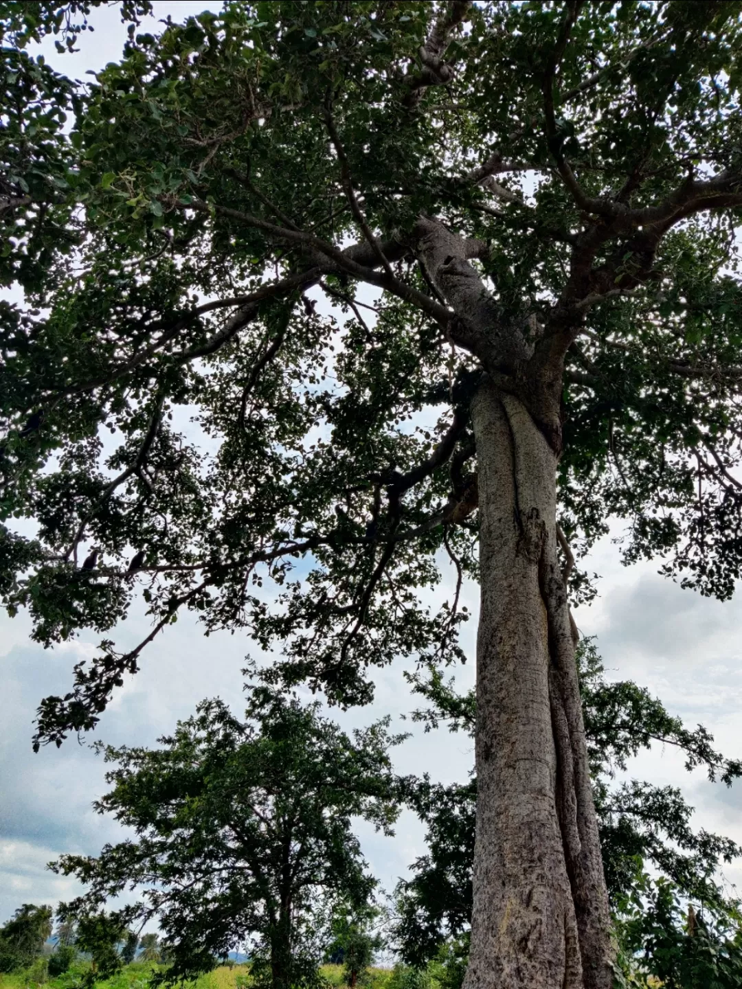 Photo of Doddaballapura By chandra sekhar