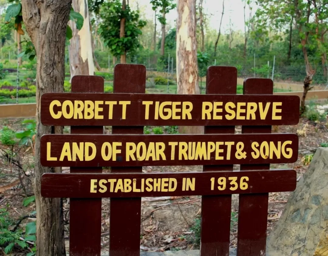 Photo of Jim Corbett National Park By Utsa Bhattacharyya