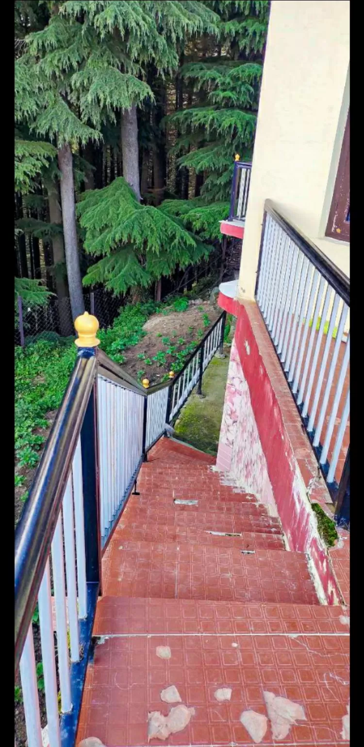 Photo of Kalatop Wildlife Sanctuary By palvi kaur
