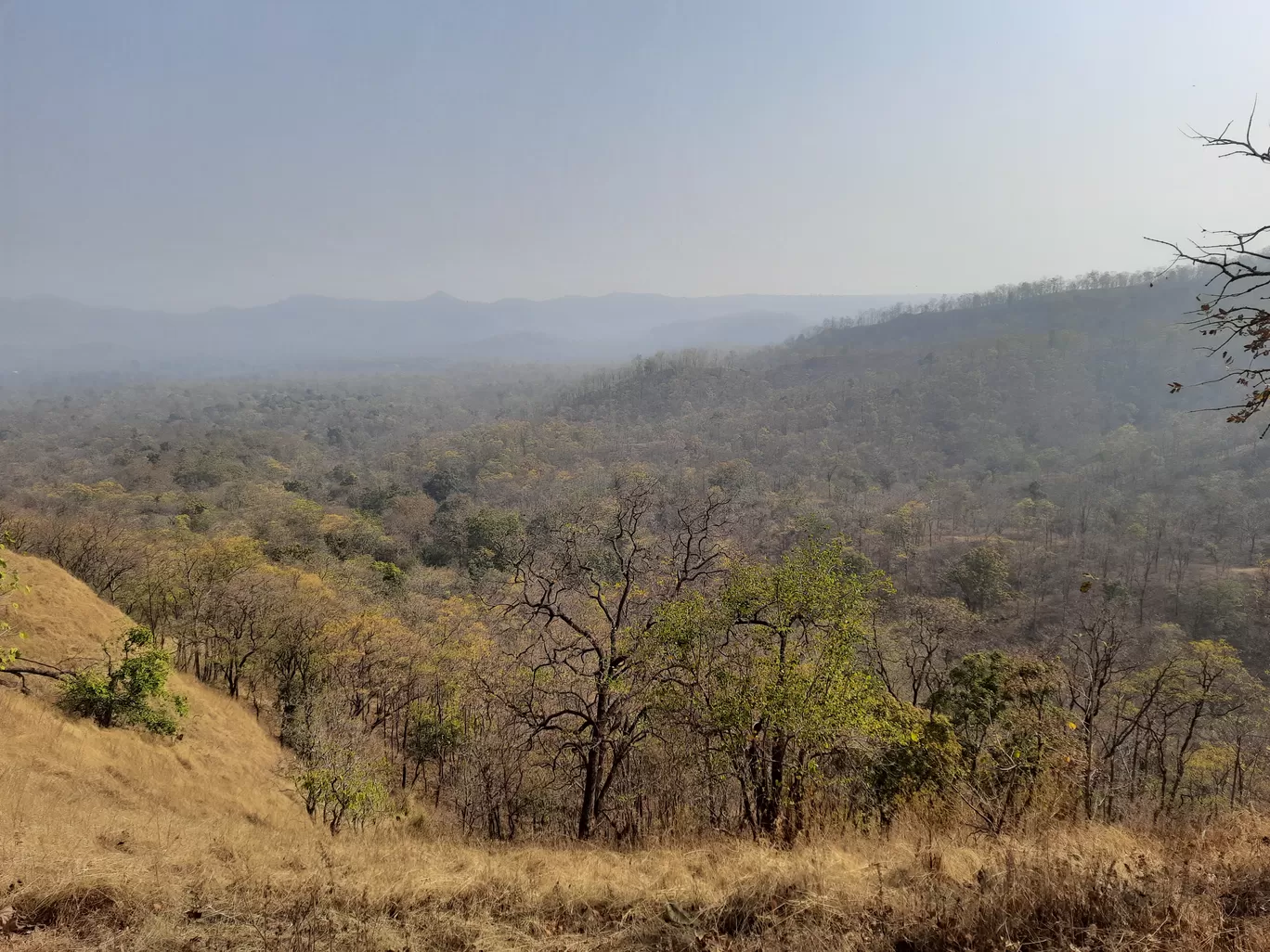 Photo of Betul By Sibani Nayak