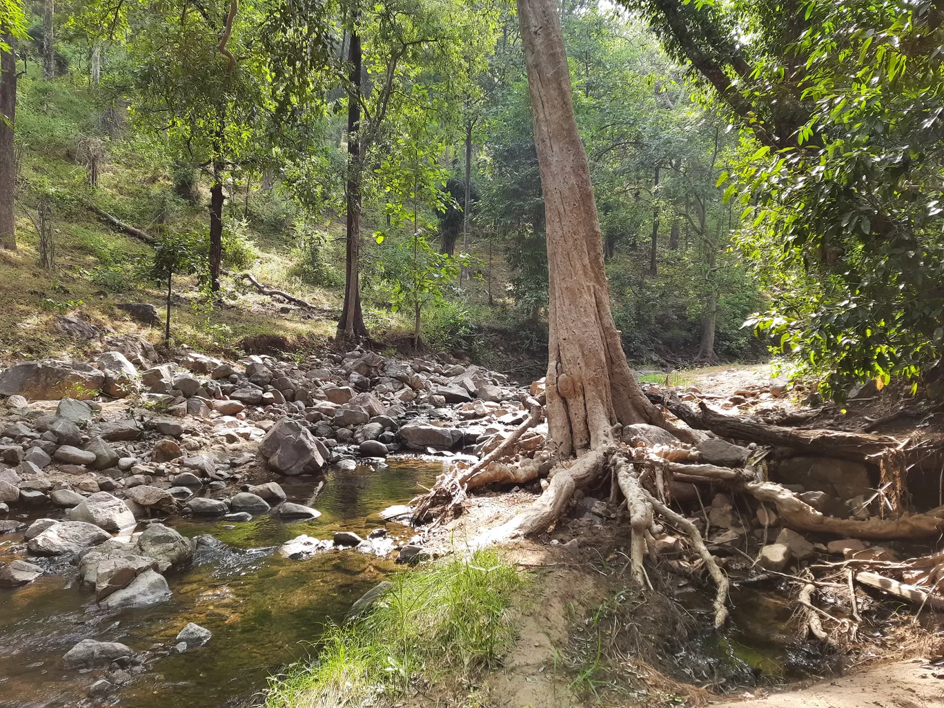 Photo of Betul By Sibani Nayak
