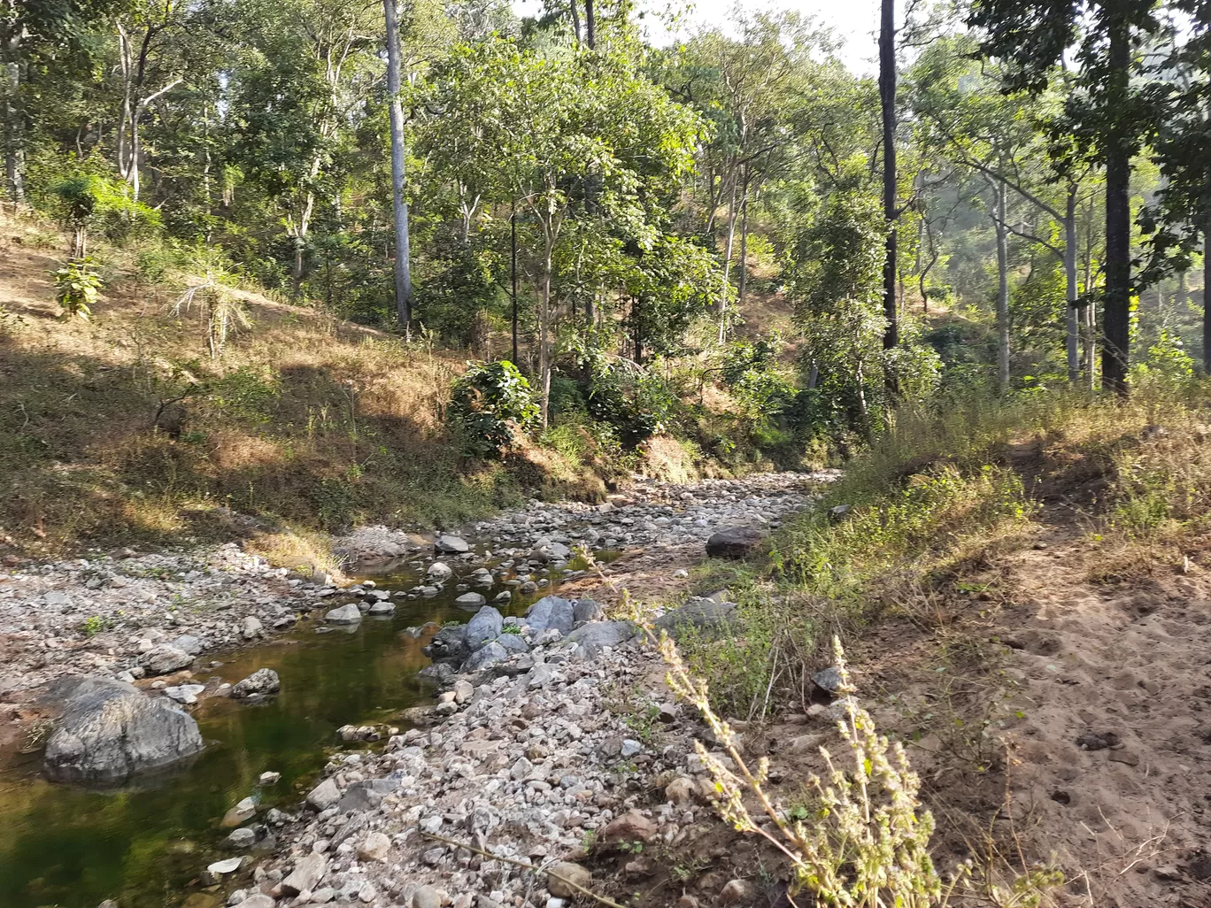 Photo of Betul By Sibani Nayak