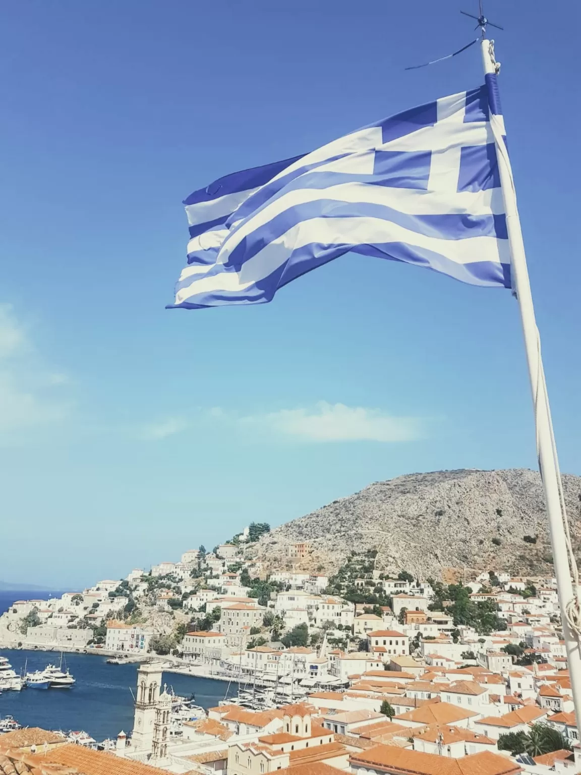 Photo of Hydra By Quresh Jawadwala