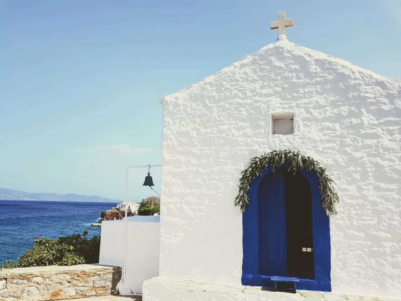 Photo of Hydra By Quresh Jawadwala