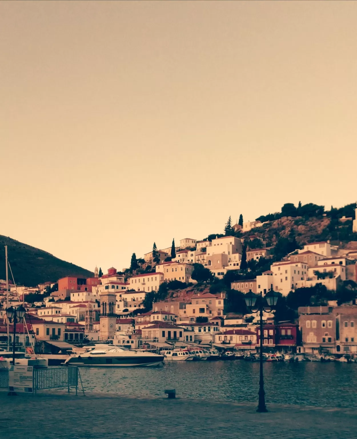 Photo of Hydra By Quresh Jawadwala