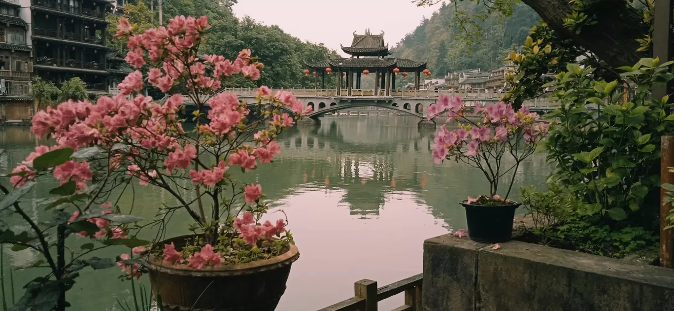 Photo of Fenghuang By Quresh Jawadwala