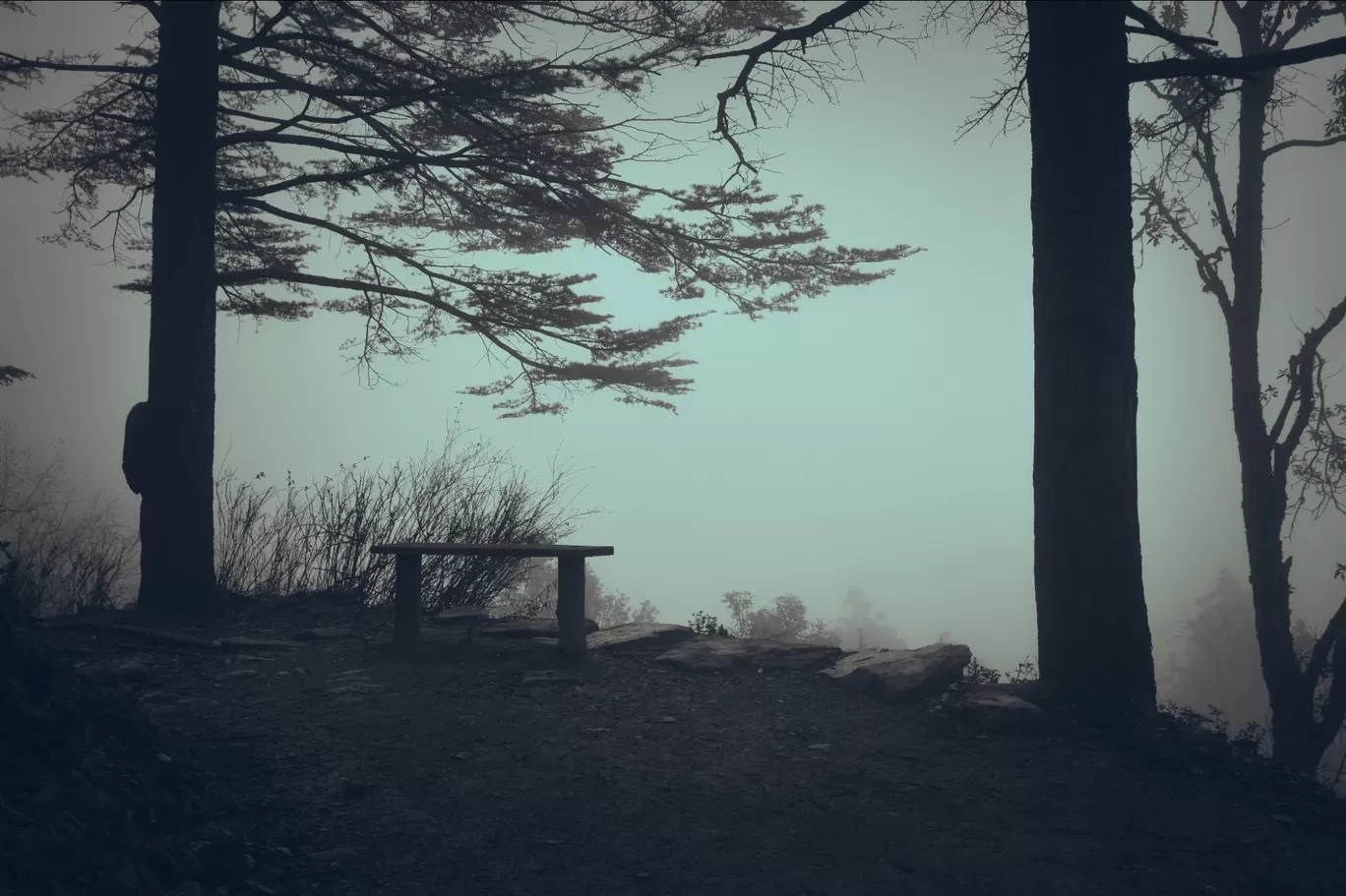 Photo of Silent Trail - Sanctuary By Sushant Alex