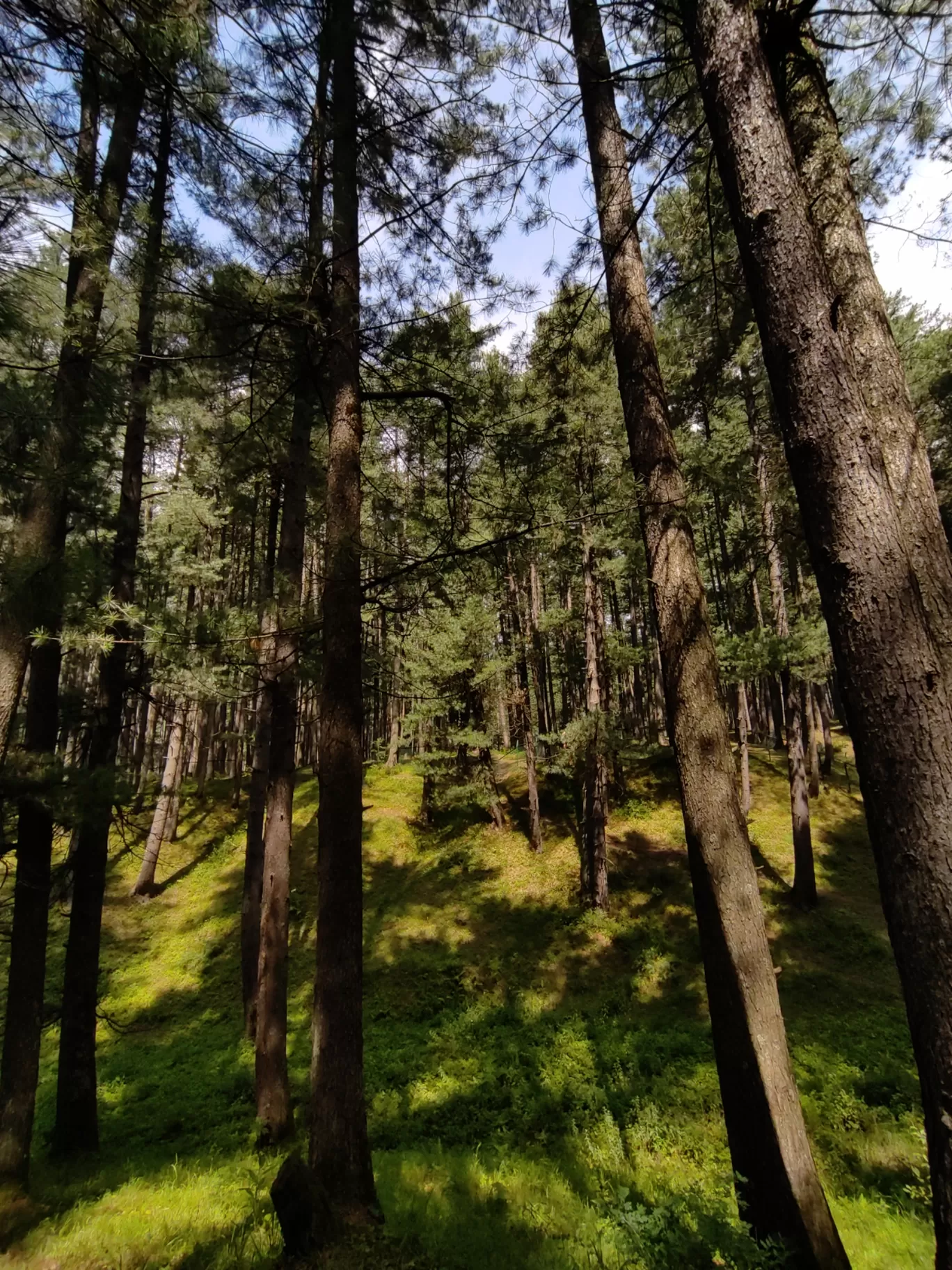 Photo of Pahalgam By Suhail Sidiq