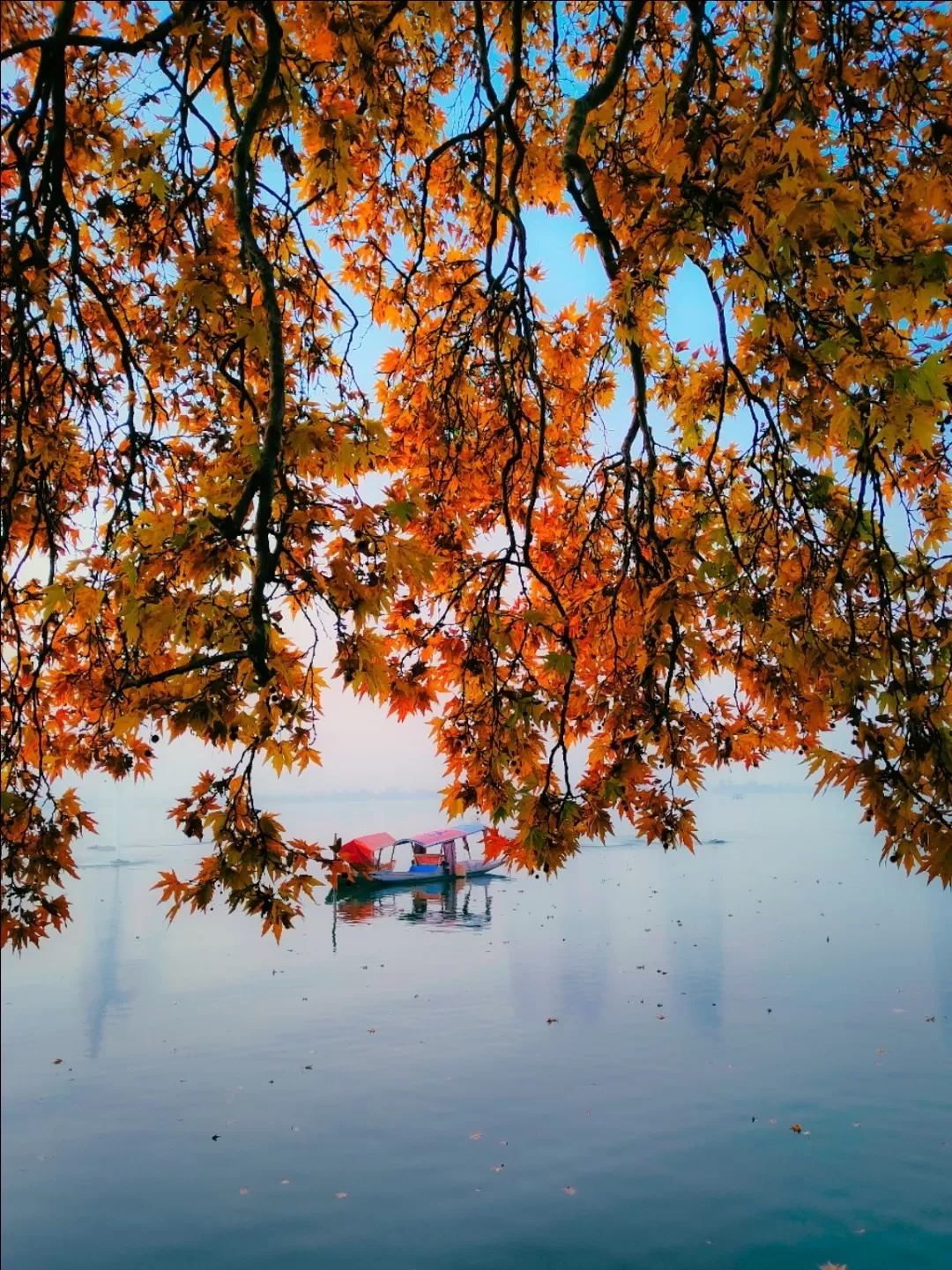 Photo of Jammu and Kashmir By Suhail Sidiq