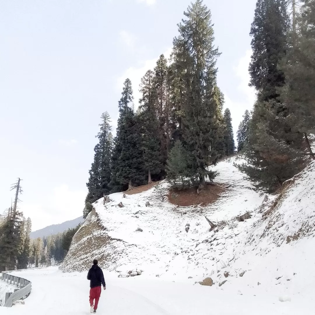 Photo of Mughal Road By Suhail Sidiq