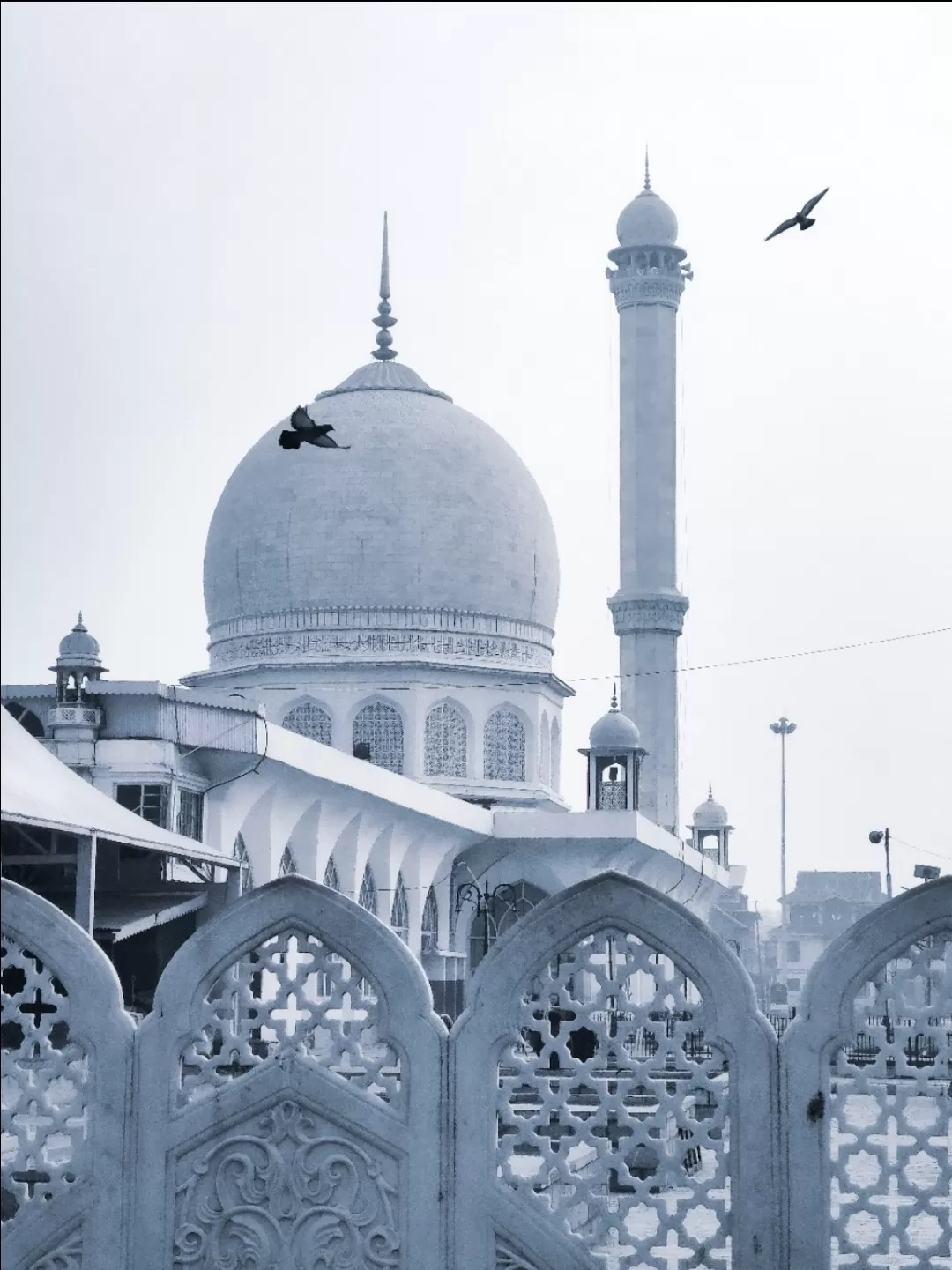 Photo of Srinagar By Suhail Sidiq
