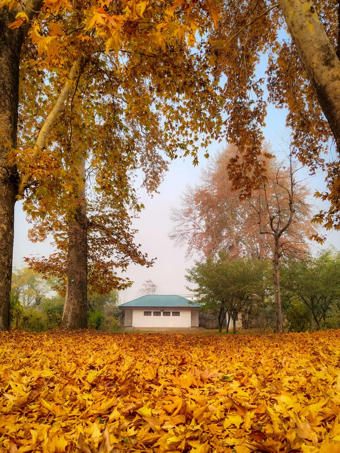 Photo of Jammu and Kashmir By Suhail Sidiq