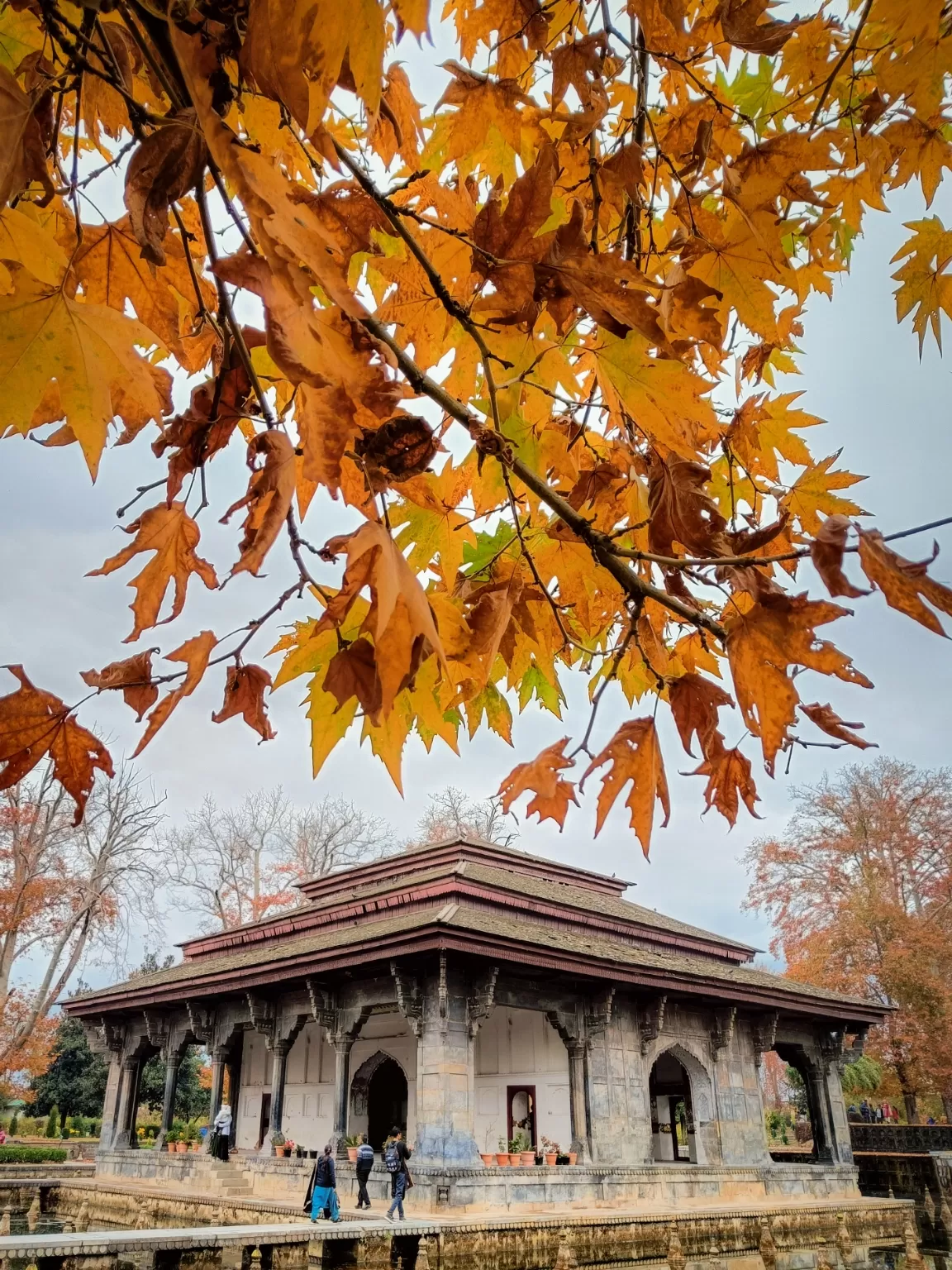 Photo of Jammu and Kashmir By Suhail Sidiq