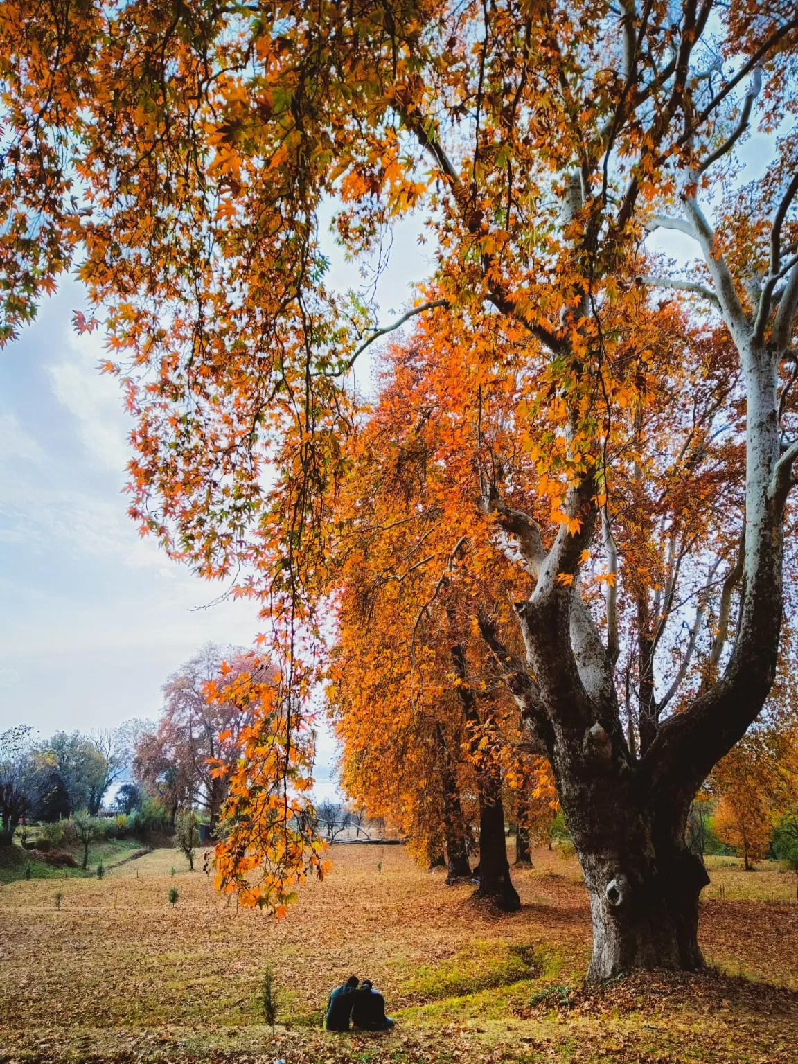 Photo of Jammu and Kashmir By Suhail Sidiq