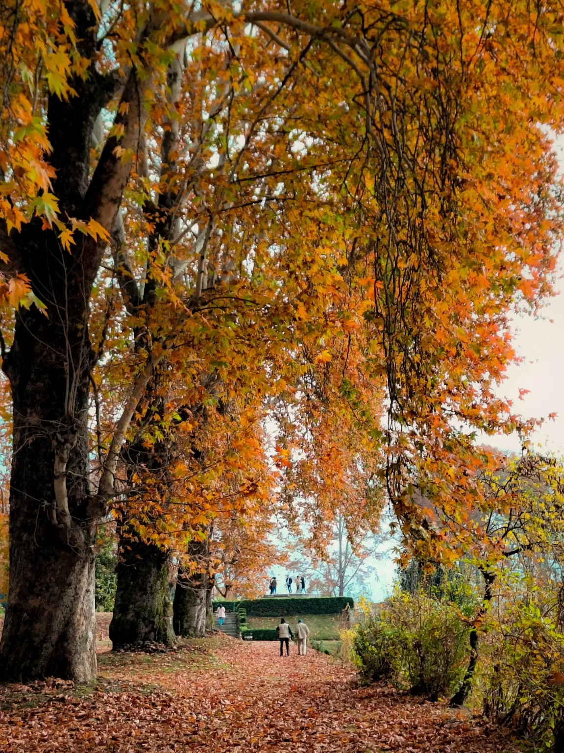 Photo of Jammu and Kashmir By Suhail Sidiq