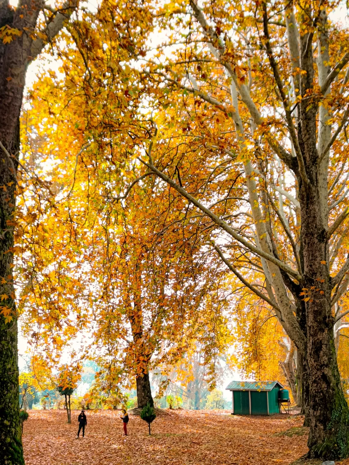 Photo of Jammu and Kashmir By Suhail Sidiq