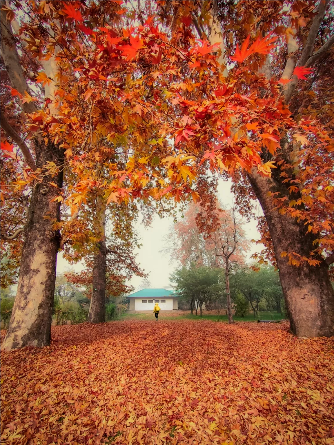 Photo of Jammu and Kashmir By Suhail Sidiq