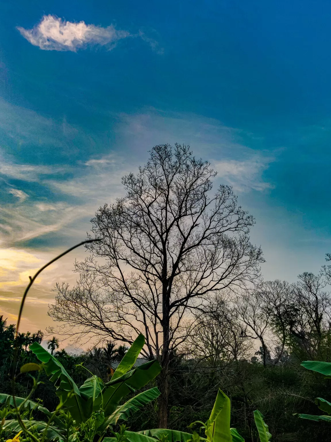 Photo of Neil Island By M David Raj