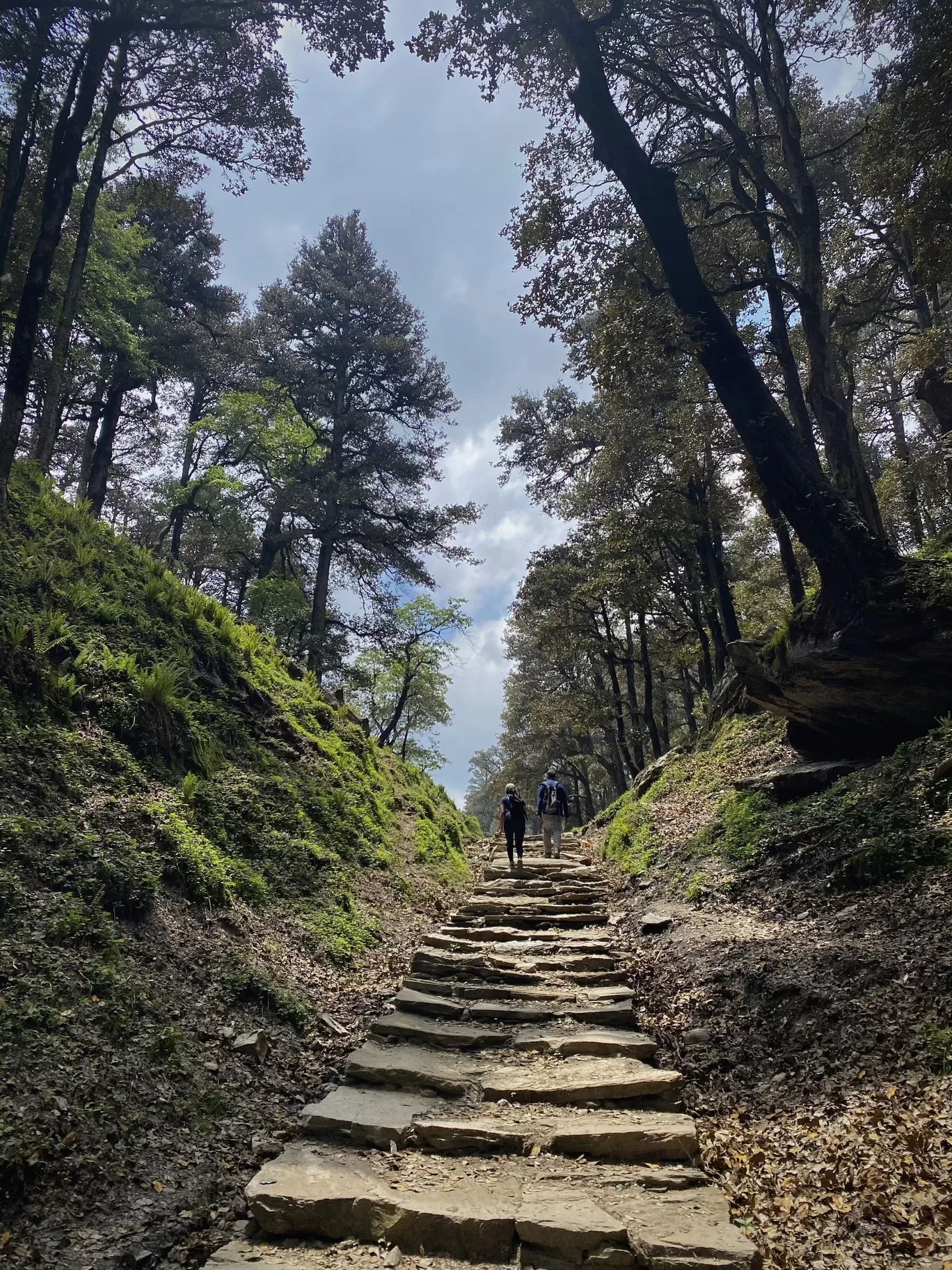 Photo of Jalori Pass By Nitya Gupta 