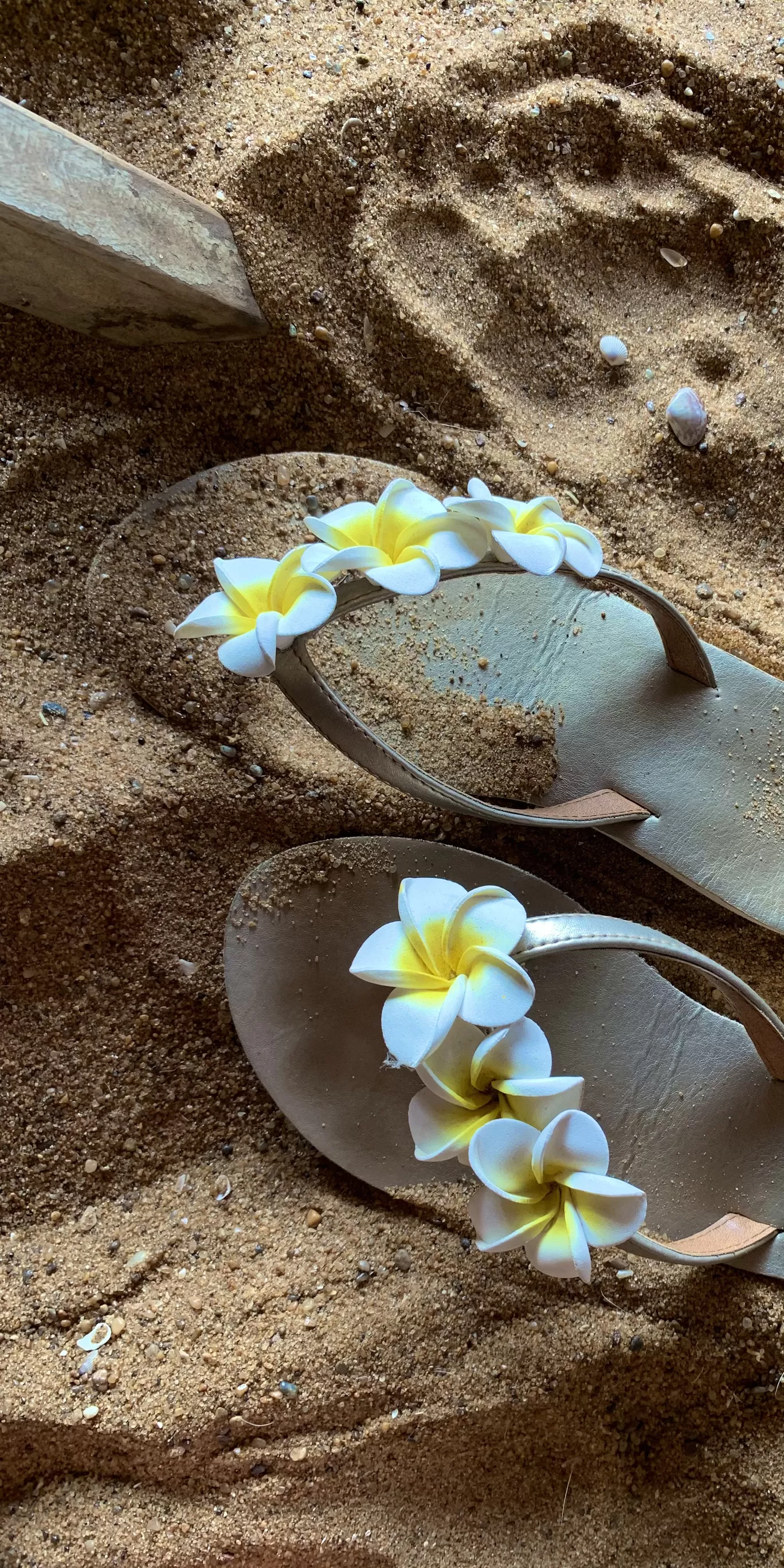 Photo of Goa By Nitya Gupta 