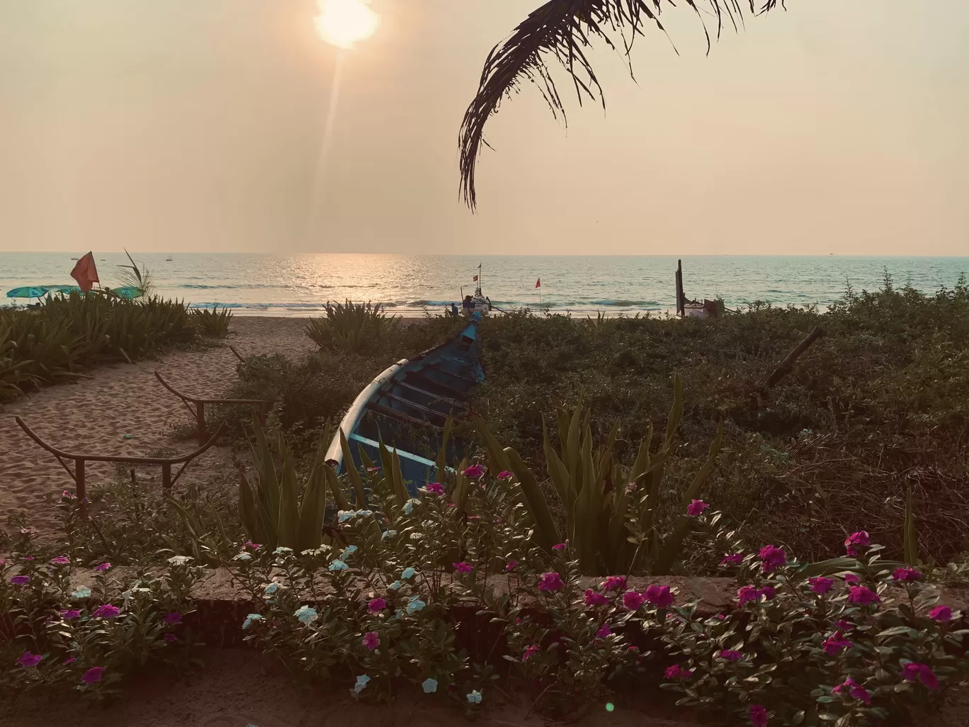 Photo of Goa By Nitya Gupta 