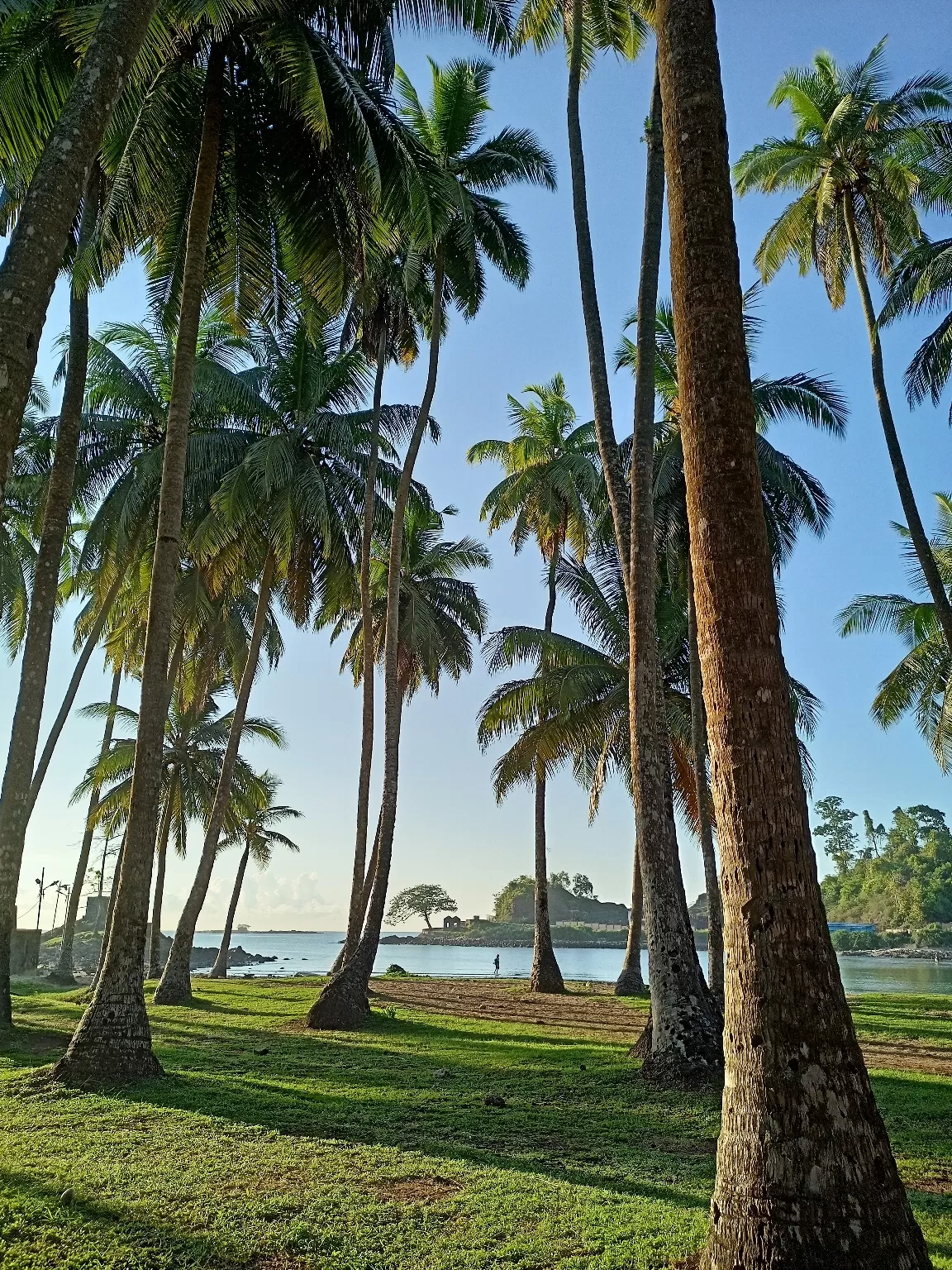 Photo of Corbyn’s Cove Beach By Sherrin Jacob