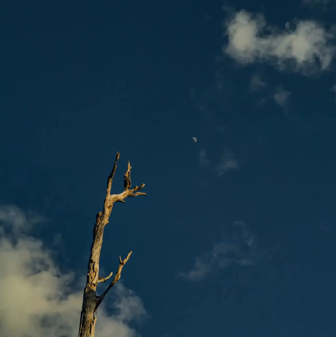 Photo of Collinpur Beach By Sherrin Jacob