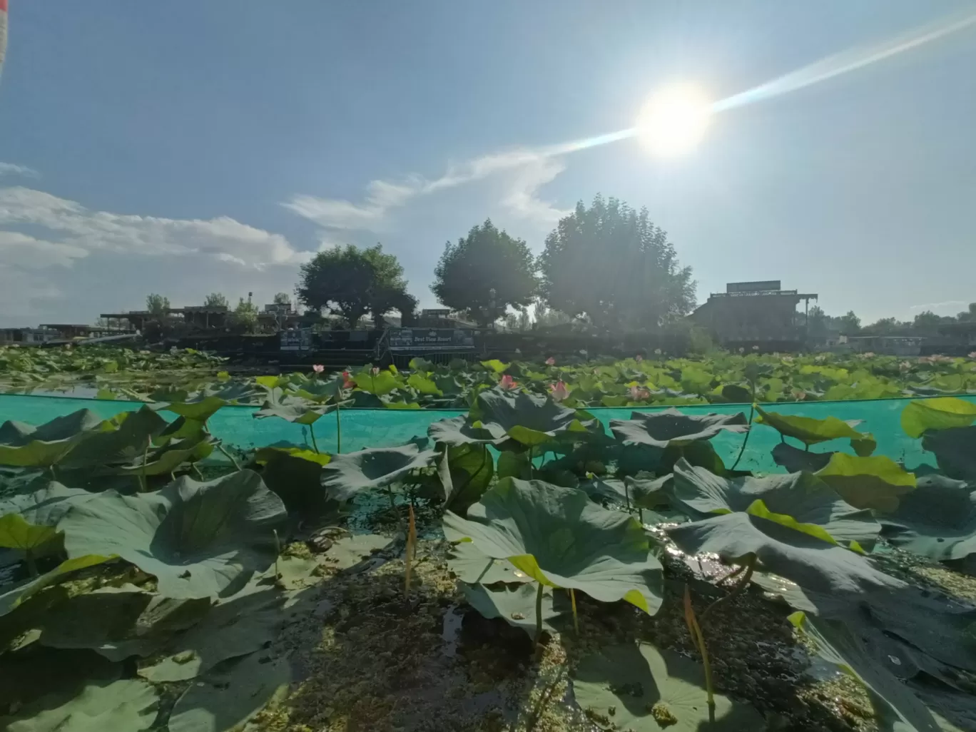 Photo of Dal Lake By Aiman Khan.