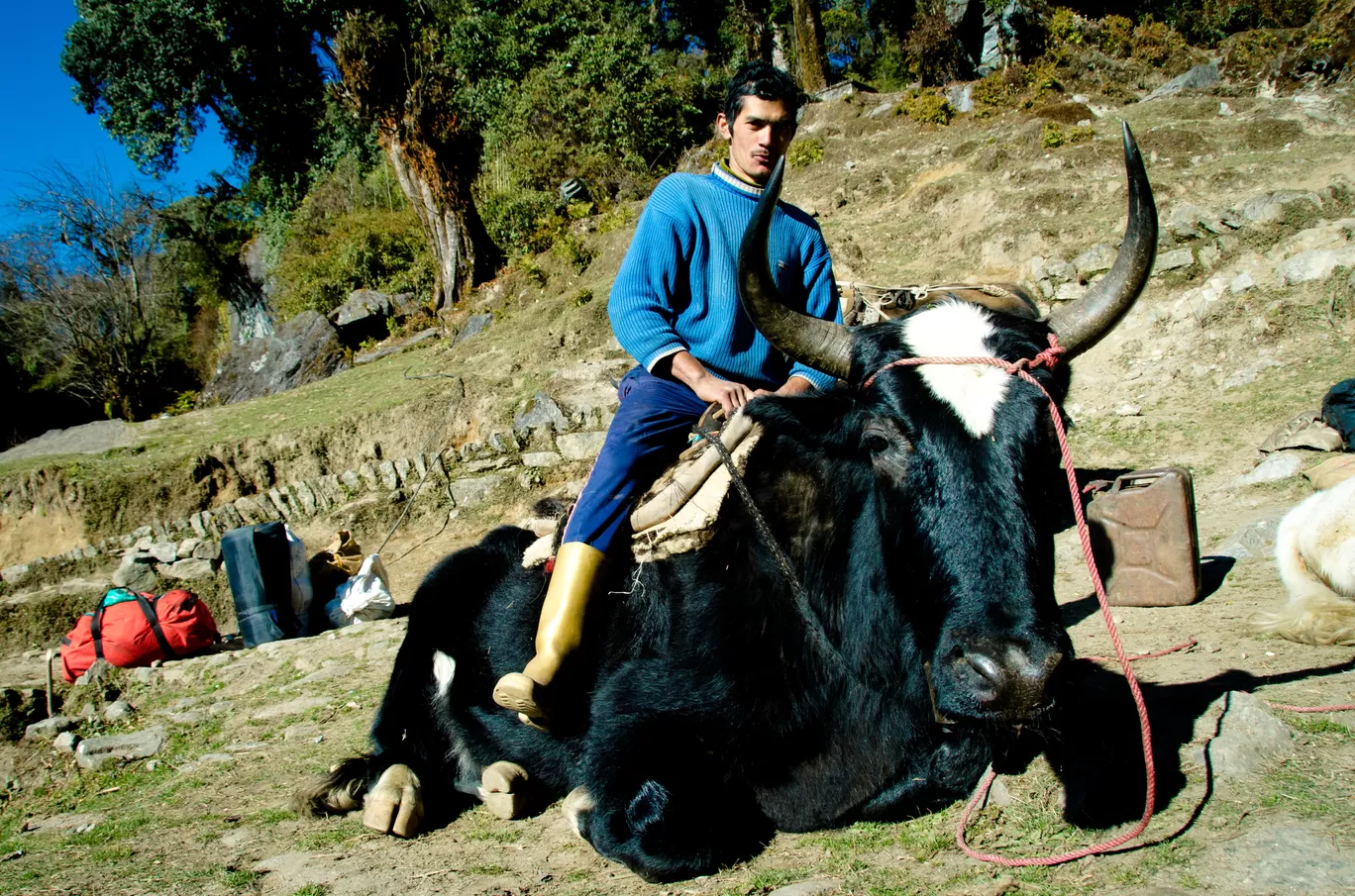 Photo of Goecha La By kiran