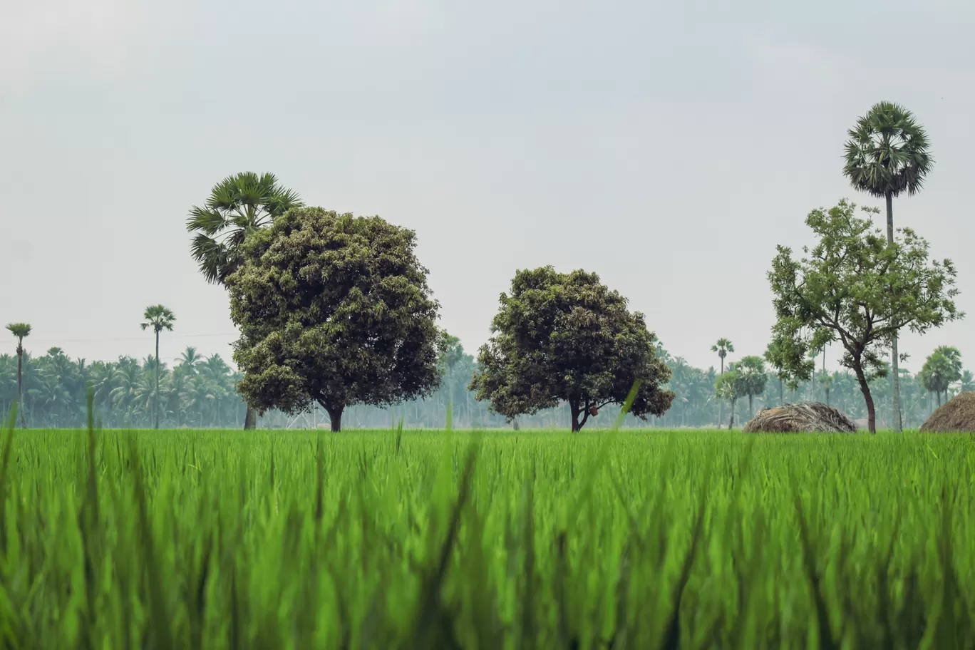 Photo of Amalapuram By Praveen raghavendra