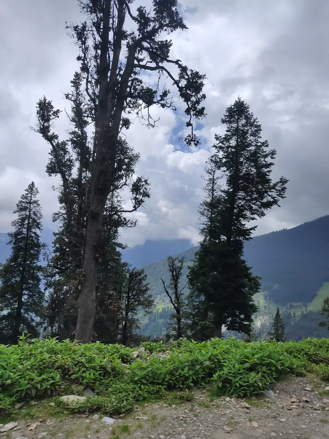 Photo of Chamba By SANJAY KUMAR