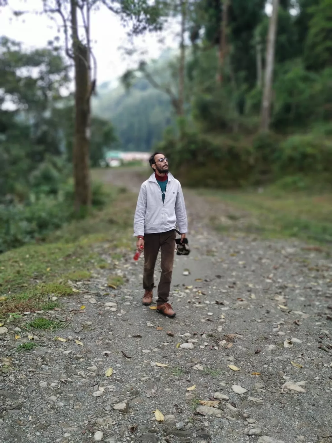 Photo of Paiengaon Forest By travelling is joy..crdts htl Roopmani drjlng