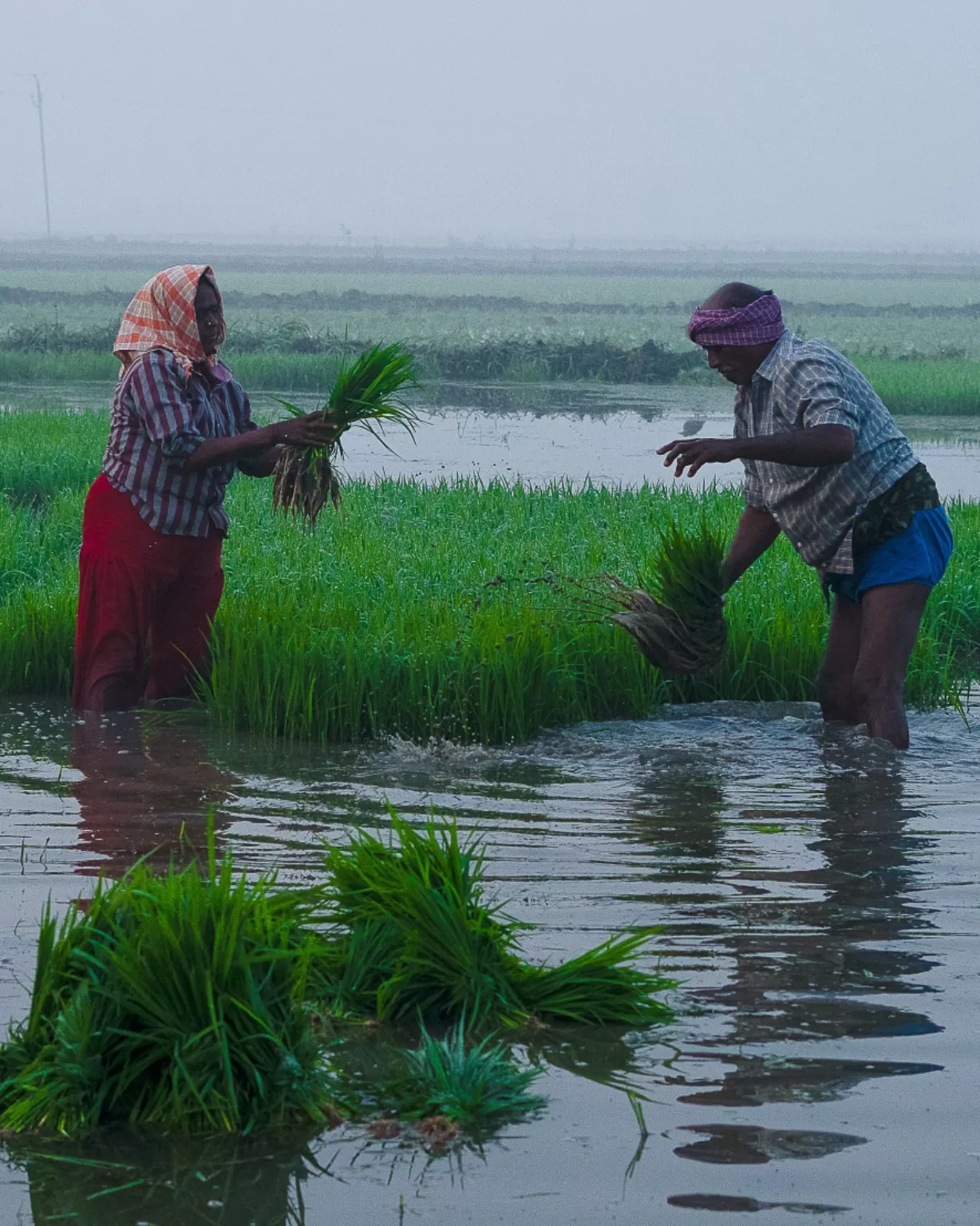 Photo of Andhra Pradesh By Hari Madhav`