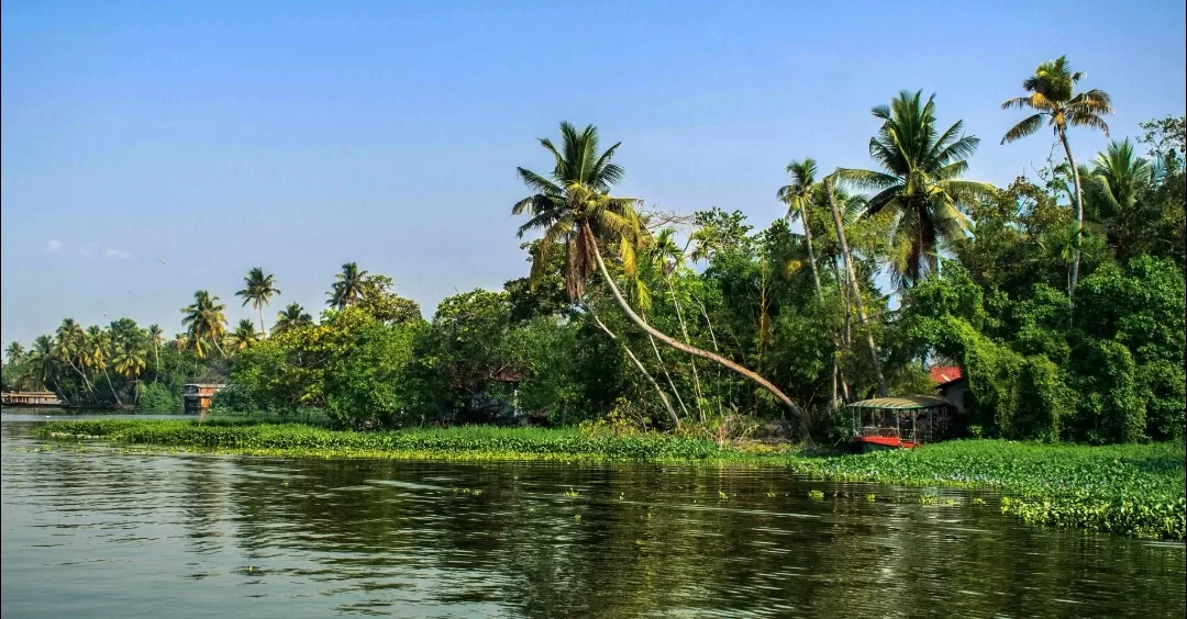 Photo of Alleppey Backwater By Satyaki Acharya