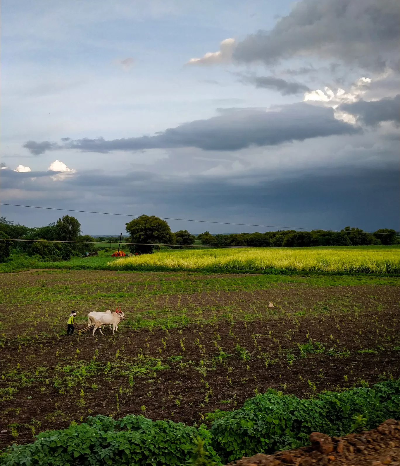 Photo of Maharashtra By Shivani kondewar