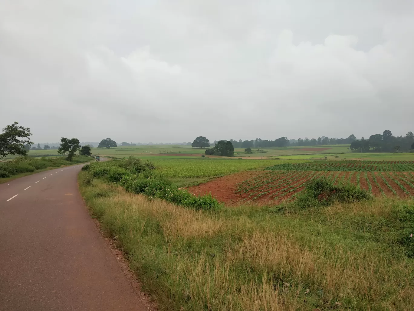Photo of Mahuadanr By Amit Kumar