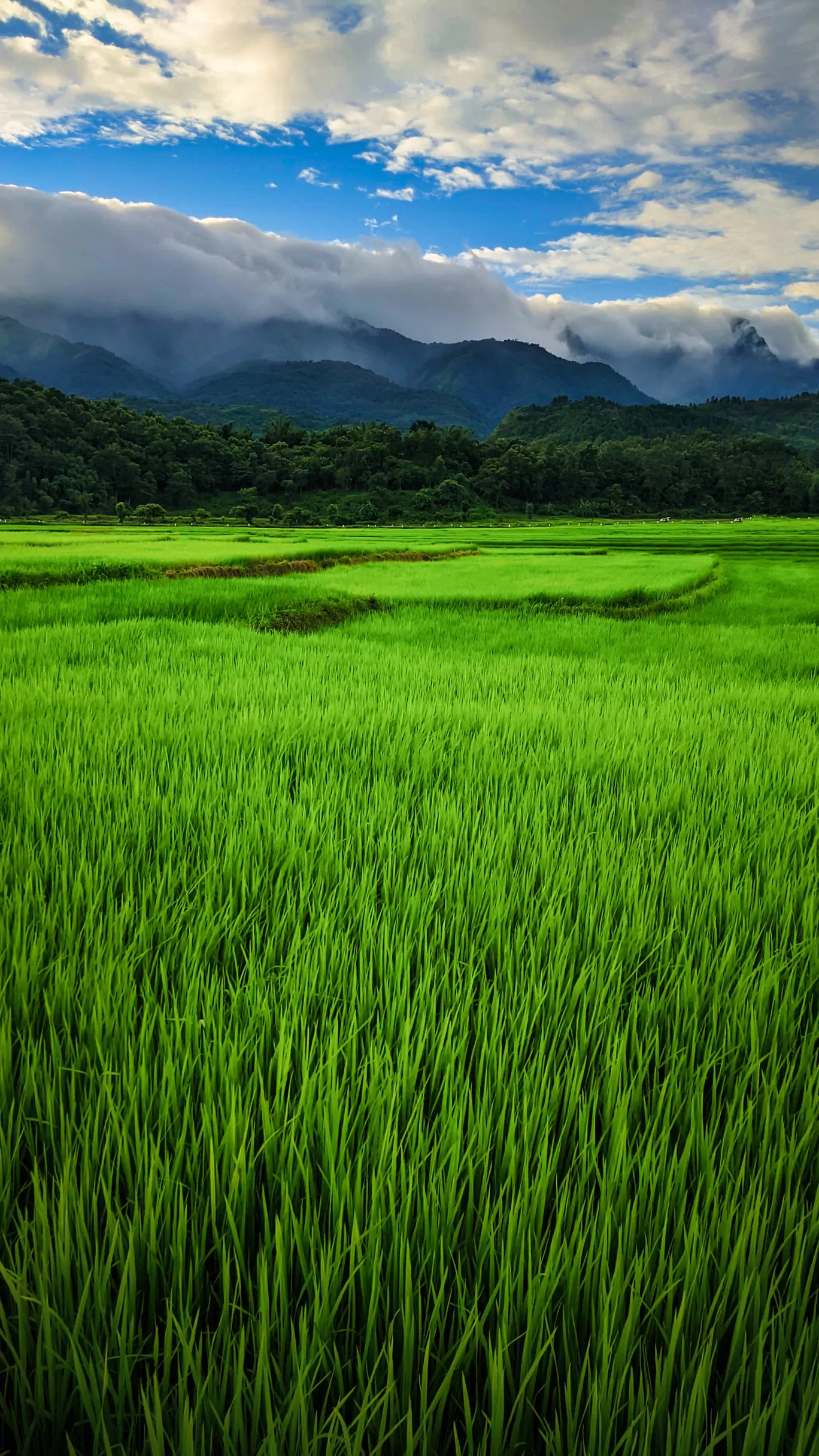 Photo of Manipur By Aboy Angom