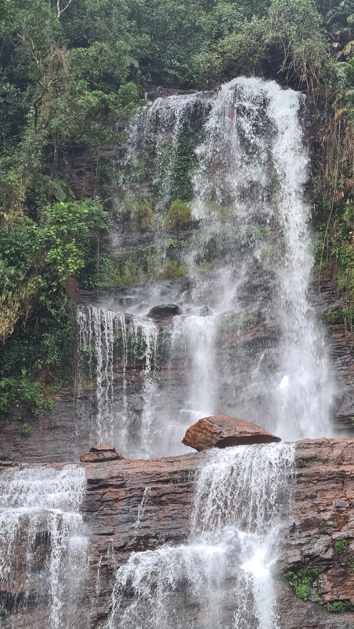 Photo of Chikmagalur By bipin dedhia