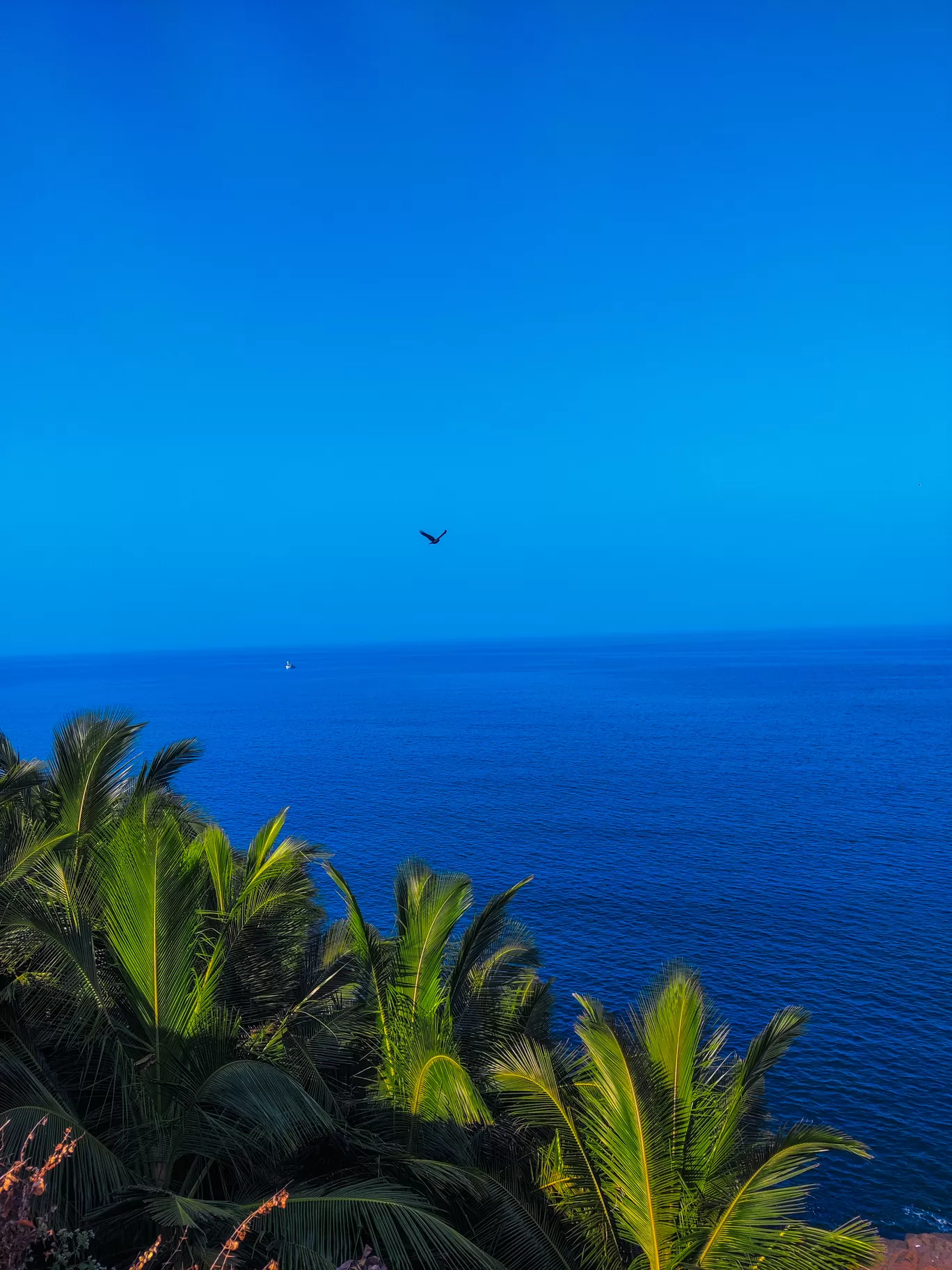 Photo of Cabo de Rama Fort By Praful Choudhary