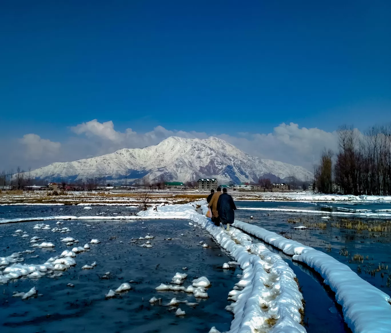 Photo of Srinagar By Aabid Bhat